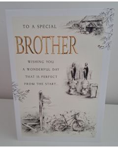 To A Special Brother Birthday Card .23x15cm (9x6 Inches)