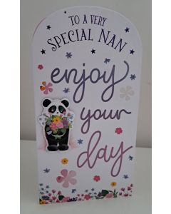 To A Special Nan Birthday Card. 23x12cm