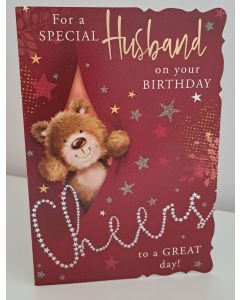 For A Special Husband On Your Birthday Card. 19x13cm