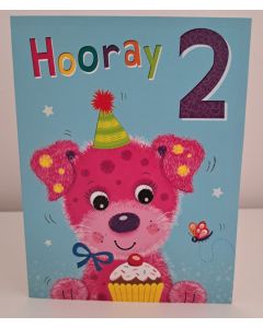 Age 2 Female Girls Birthday Card. 19x13cm
