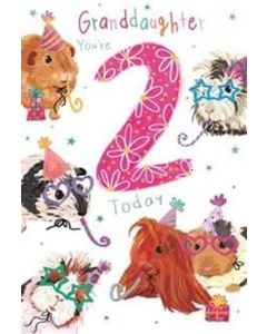 Granddaughter 2 Birthday Card. 23x15cm