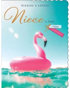 Wishing A Lovely Niece Happy Birthday Card. 19x13cm