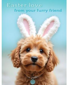 Easter Card From The Dog. 19x13cm