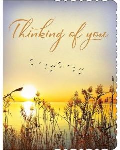 Thinking Of You Card. Sunset Design. 19x13cm