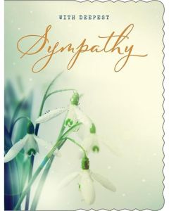 With Deepest Sympathy Card. 19x13m