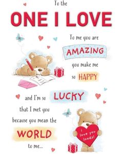 To The One I Love Birthday Card. 23x15cm (9x6 Inches)