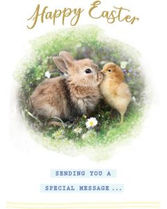 Happy Easter Chick and Bunny Card. 7x5 Inches