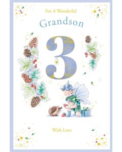 Grandson Age 3 Birthday Card. 3rd Birthday. 23xx15cm