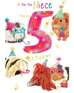 Niece 5 Birthday Card. 5th Birthday. 23x15cm
