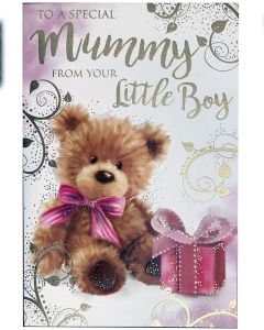 Mummy From Little Boy Birthday Card. 23x15cm
