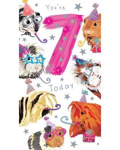 Girls Age 7 Birthday Card. Guinea Pig Design. 7th Birthday. 12.3x22.8cm