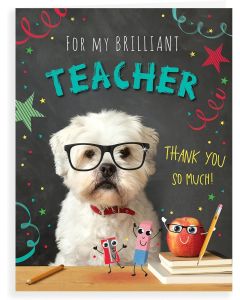 Brilliant Teacher Thank You Card For End Of Term. 19x13cm
