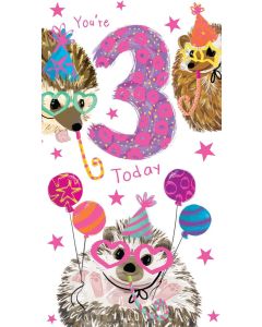 Age 3 Female Hedgehogs Card. 3rd Birthday. 12.3cm x 22.8cm