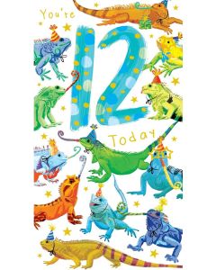 Boys Age 12 Birthday Card. Iguana Themed. 12th Birthday. 23x12cm