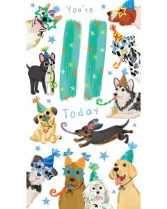 Boys Age 11 Birthday Card. Dog Theme. 11th Birthday. 12.3cm x 22.8cm