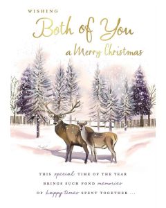 Wishing Both Of You A Very Merry Christmas Card