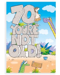 Birthday Card Age 70 Male. Humour. 9 x 6 inches (23x15cm)