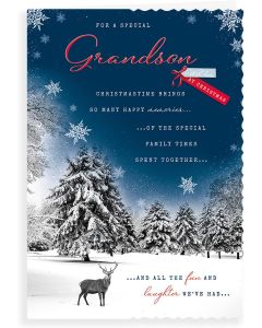 For A Special Grandson With Love At Christmas Card. 10x7 Inches
