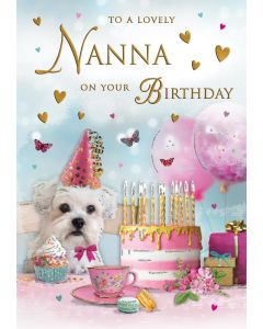To A Lovely Nanna On Your Birthday Card. 23x15cm