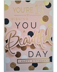 You're 13 Wishing You A Beautiful day. Card For 13th Birthday Girl. 19x13cm